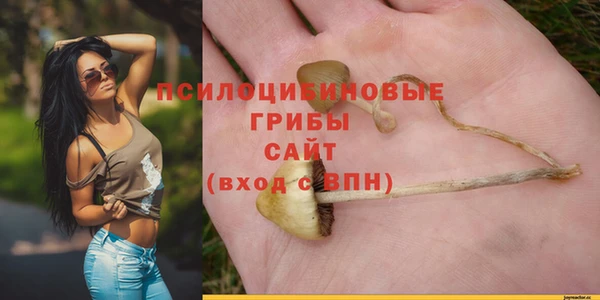 мет Инта
