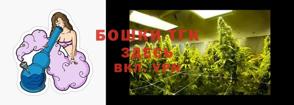 сатива Каменск-Шахтинский