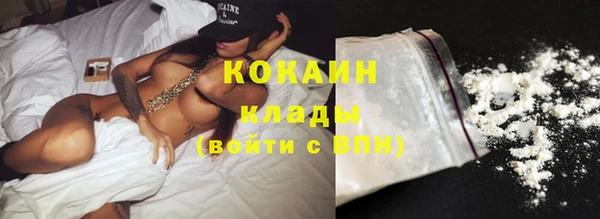 дурь Инсар
