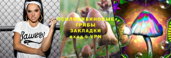 сатива Каменск-Шахтинский