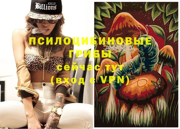 мет Инта
