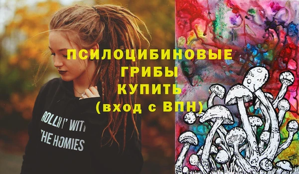 дурь Инсар