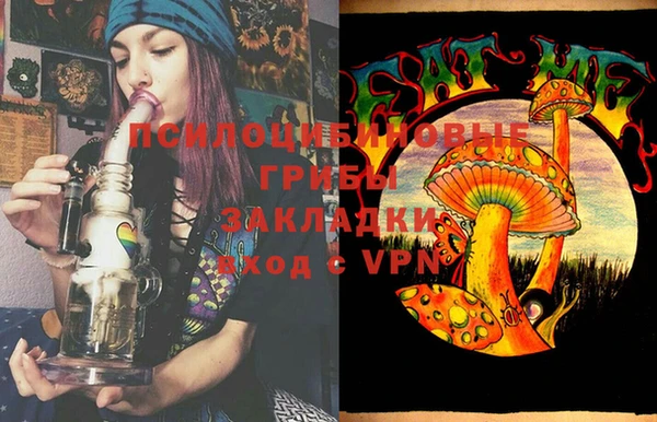 бошки Зеленодольск