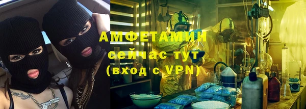 дурь Инсар