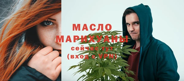 мет Инта
