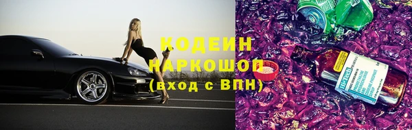 мет Инта
